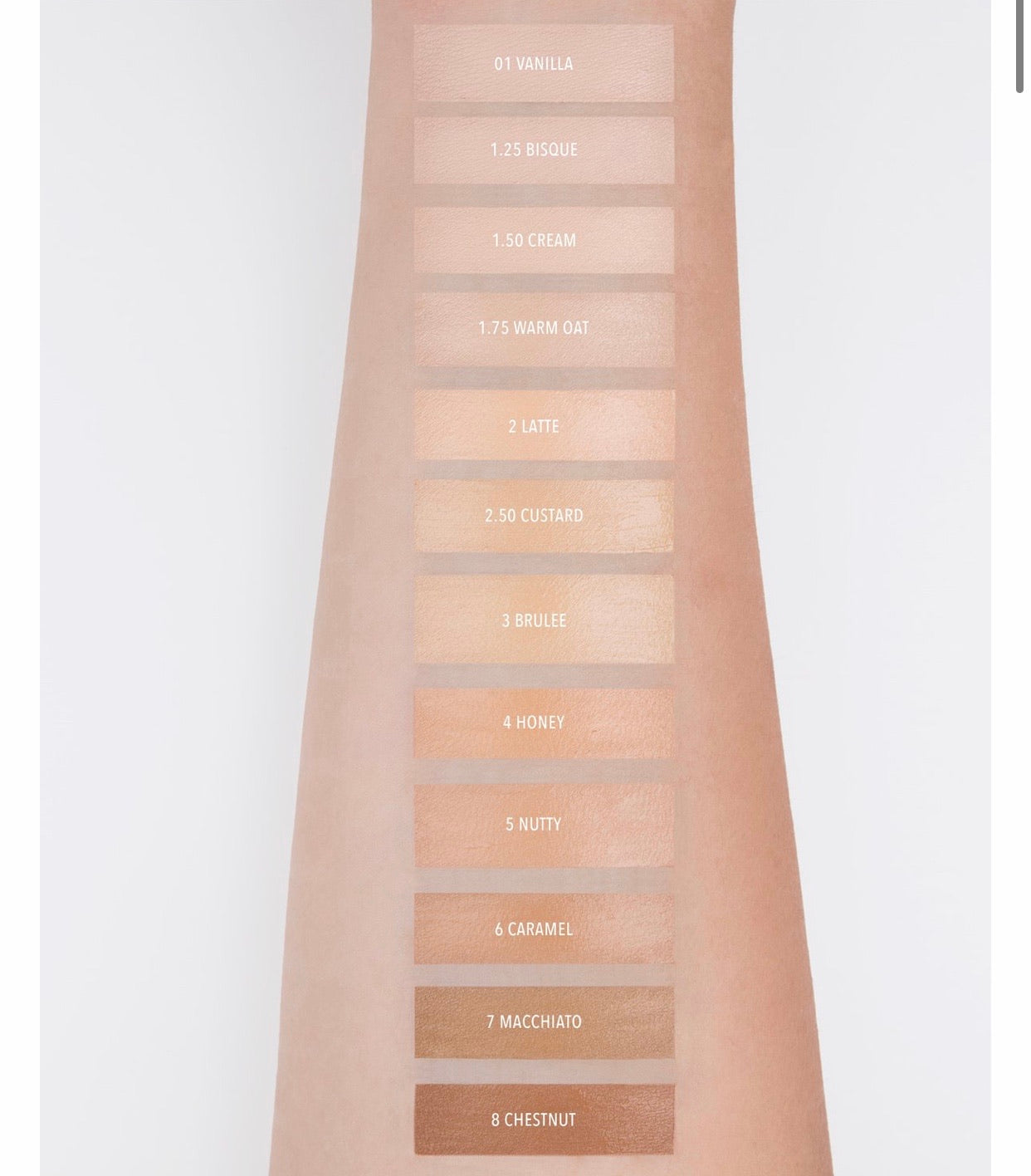 Corrector MEGA CONCEALER MOIRA